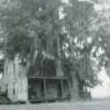 Photo of old Machemehl home that stood near the large live oaks on the hill.  The chimney still stands.