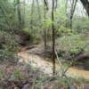 Creek in Park After Rain in March 2012