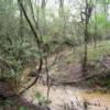 Another view of the creek in the Park