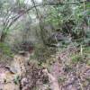 Rock outcroppins are seen along the walking trails in the park.