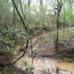 Another view of the creek in the Park